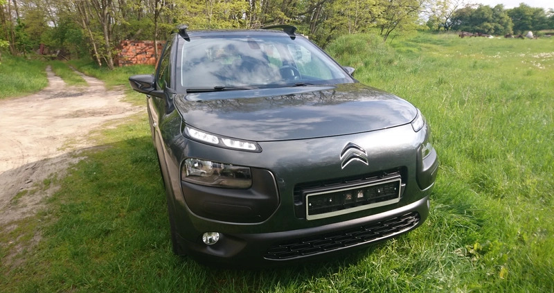 Citroen C4 Cactus cena 34600 przebieg: 150000, rok produkcji 2017 z Gostyń małe 172